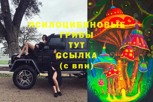 хмурый Магадан