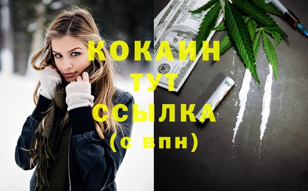 молекула духа Алексеевка