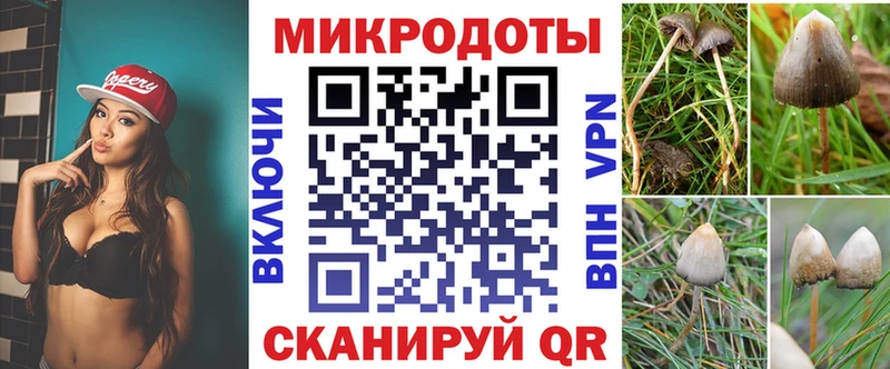 даркнет сайт Шарья Псилоцибиновые грибы GOLDEN TEACHER